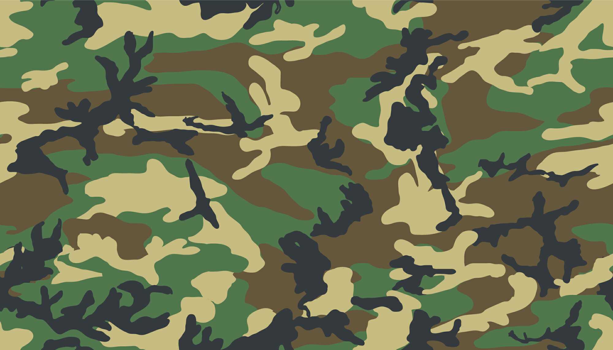 The Penalty For Any Civilian Who Unlawfully Wears Camouflage In Nigeria