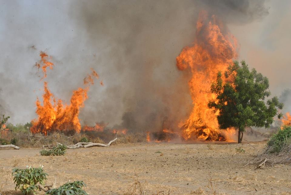 155 task force battalion clears terrorists out of Dicheri 5