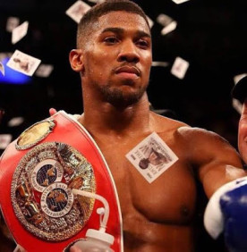 british boxer