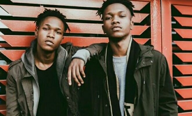 dna twins