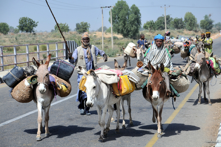 fulani herdsmen
