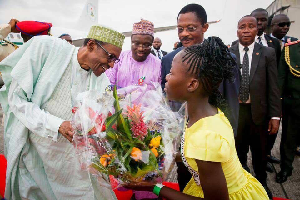 buhari-flower