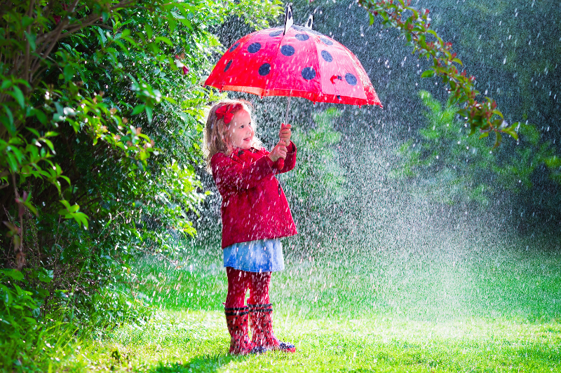 rainy-day