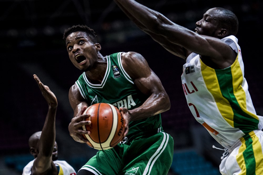d'tigers