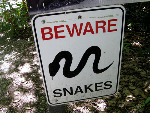 snake-season