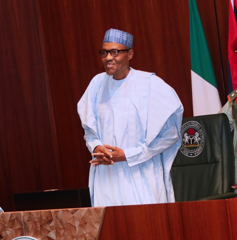 buhari-social-investment