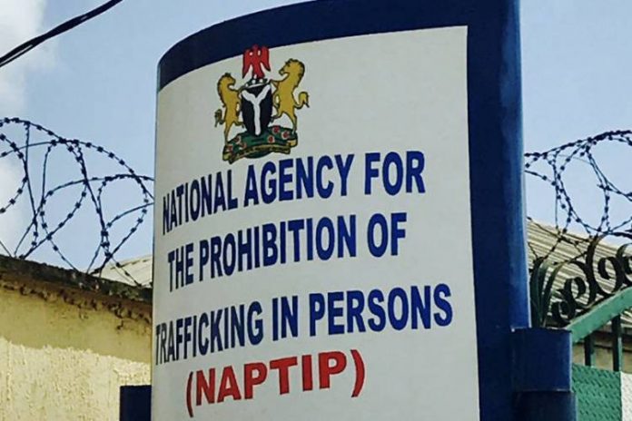 Naptip-