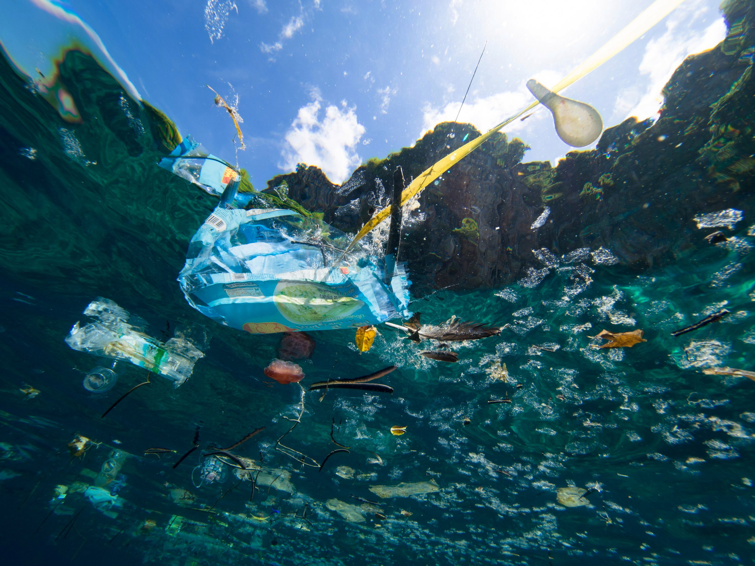 world-ocean-day